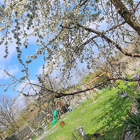 Na Skalkach Apartment