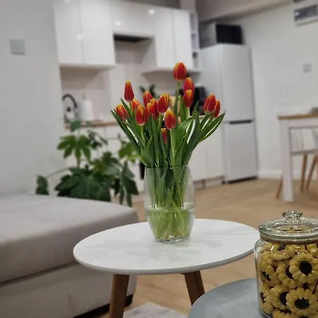 Apartment Na Skalkach Jelenia Gora